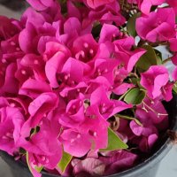 Meral (@meral063434) 's Twitter Profile Photo