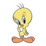 Tweety501584341 Profile Picture