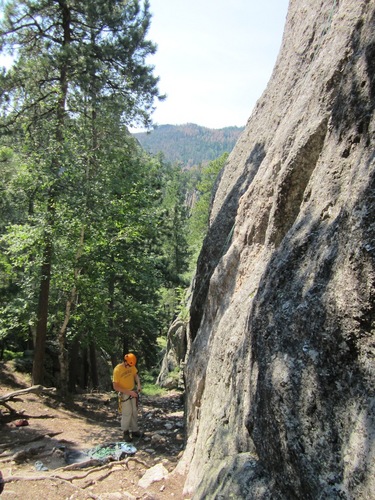 Field Biologist