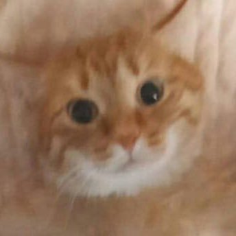 TakenSeriousily's profile picture. 