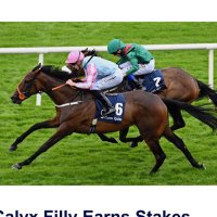 Chasefield Stables (@chasefield2018) 's Twitter Profile