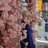 haneen57671312's profile image