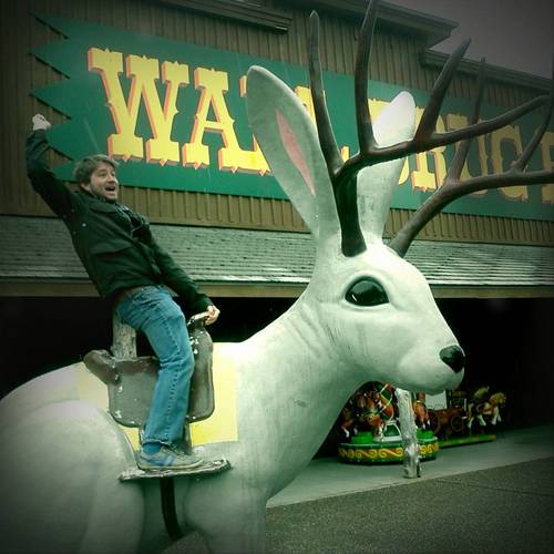 eyerollsohard's profile picture. I regret to inform you I have a podcast @apexadjacent.