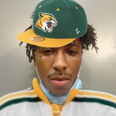 🇺🇸|20|Everyone’s Favorite Wildcat Fan|NMU YB|@CCHAWatch member| The CCHA’s worst nightmare 😈|Not Associated with NBA YB or NMU|