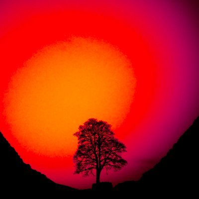 Photographer/singer/musician   

Invisible Light infrared collection, Opensea

https://t.co/zssyLzJKoP

Music https://t.co/jO36mCZA5c

https://t.co/M2wOvOo6Hq