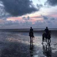 AREEJ (@aro00jh12321) Twitter profile photo