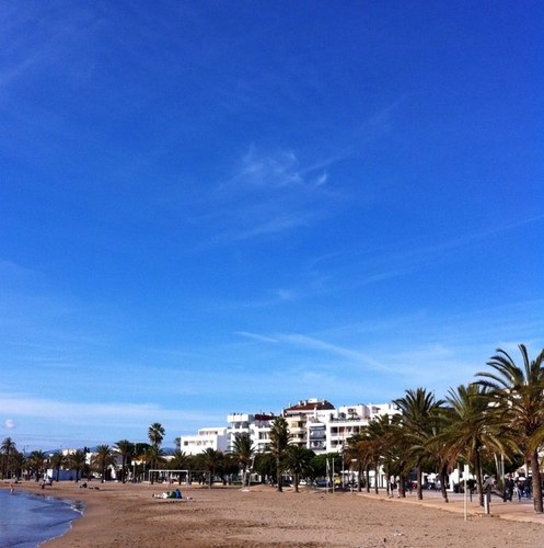 viniette's profile picture. 