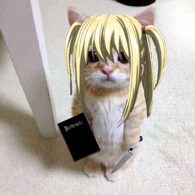 lunnaatic12's profile picture. she/her 18 nsfw
dm for cashapp