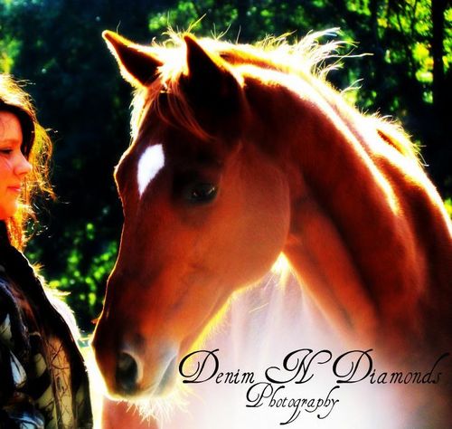 DenimNDiamondsP's profile picture. 