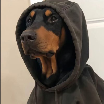 Feb2en's profile picture. 