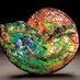 Naturesdreamsjewellery (@naturesdreams11) Twitter profile photo Naturesdreamsjewellery (@naturesdreams11) Twitter profile photo
