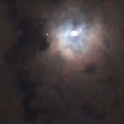 MajaliAnwaar's profile picture. female _jordan