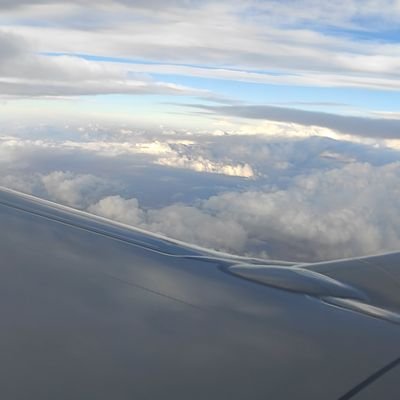 MiguelGrifaldo1's profile picture.