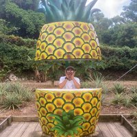 モトリータロー (@naptaro) Twitter profile photo