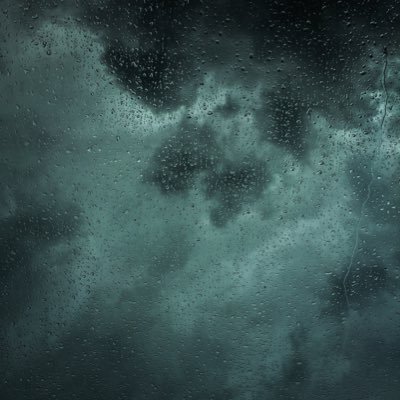 aimeleondon's profile picture. 