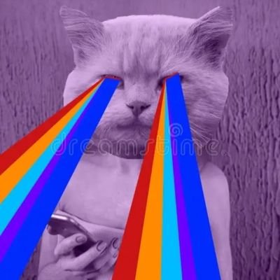 v3cchia3l3na's profile picture. Di cultura grunge, di vedute a cazzi suoi. Il meraviglioso ritorno dei Karma.