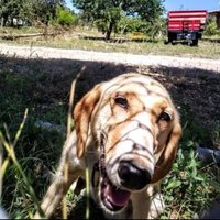 Zeynep (@vethekzeynep) 's Twitter Profile Photo Zeynep (@vethekzeynep) 's Twitter Profile Photo