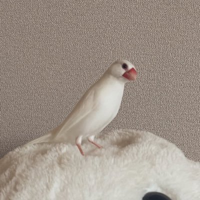エスさんのプロフィール画像