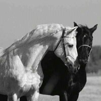 ʙᴇᴅ . ♪ (@badriah_damiri9) Twitter profile photo