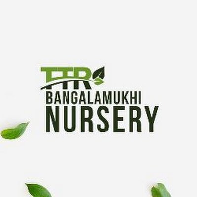 TTR Banglamukhi Nursery provides Indoor, Outdoor, Seasonal and Permanent Plants along with Landscaping & other plant related services.