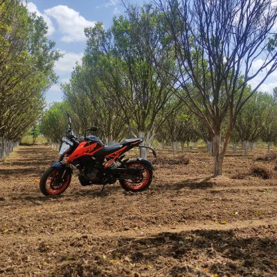 eth_harsh's profile picture. @eth_harsh❤️"#btc
#eth