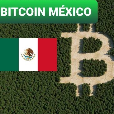 CriptoLatinoMx's profile picture. Recopilación de información cripto de diversos diversas post y fuentes de información. Screenshots de información cripto, capturas de información cripto.