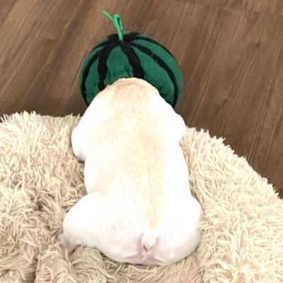 judDqO1YgRQh9Ij's profile picture. 