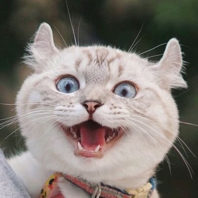 book1191857's profile picture. 