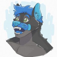 Pup Winter (3.6k followers) (@pup__winter) 's Twitter Profile