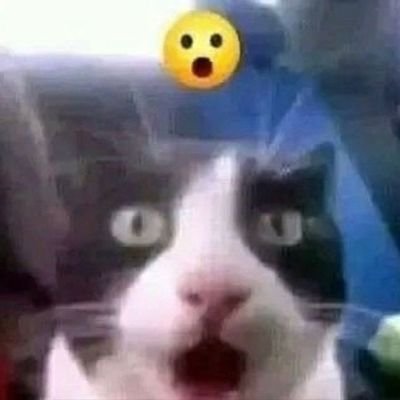 Emmanue93163696's profile picture. .