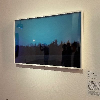 Relaxenjoylifei's profile picture. 頭脳を使った逆張り中期投資
生活の効率化
保護猫5匹と暮らす🐈🐈‍⬛🐈🐈‍⬛🐈