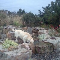 m (@baileynmike) 's Twitter Profile