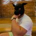 MuscledNerd (@musclednerd) Twitter profile photo MuscledNerd (@musclednerd) Twitter profile photo