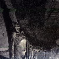 Ground (@cigarmen19454) 's Twitter Profile