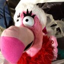 Debbie Eason - @EasonDeb - Twitter