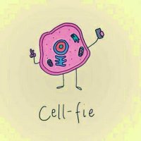 Miriam Mateos Haro (@mirimate) 's Twitter Profile