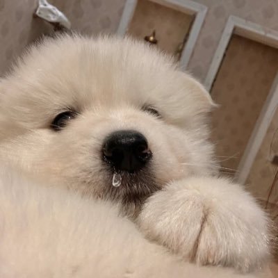 Ruru 🤍さんのプロフィール画像