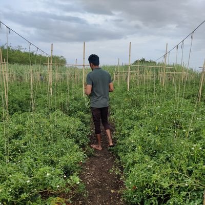 Parekar_D's profile picture. 