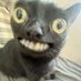 . (@milouali193615) Twitter profile photo . (@milouali193615) Twitter profile photo