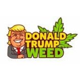 🔥 Donald Trump Weed Reviews 🔥
👀 Watch people test our weed! 👀
✍️ Trump Legalized Hemp ✍️
~ THCa Hemp is Real Weed ~
🇺🇸 TRUMP MADE WEED LEGAL 🇺🇸