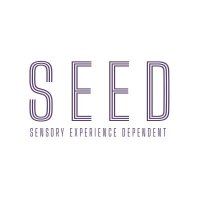 Sensory Experience Dependent Lab (@seed_imtlucca) 's Twitter Profile Photo Sensory Experience Dependent Lab (@seed_imtlucca) 's Twitter Profile Photo