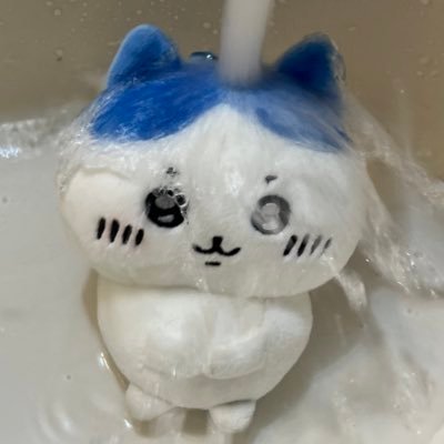 코딱지さんのプロフィール画像