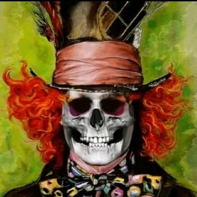 WolterKris's profile picture. 