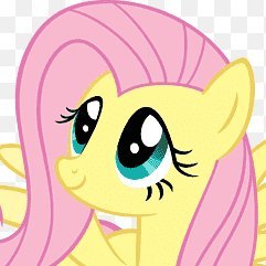 16_sheishy's profile picture. I'm SHY