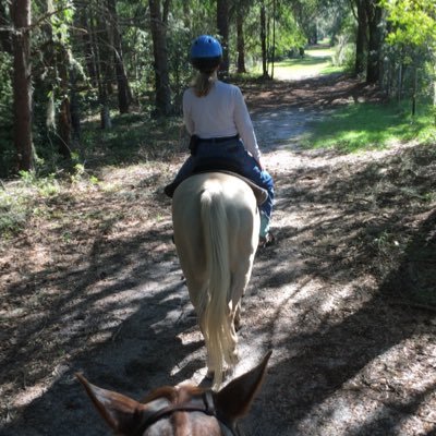 Crow Professor of Chemistry and department chair at the University of Florida. Amateur flutist. Weekend trail rider. Also @McElweeWhite@bsky.social