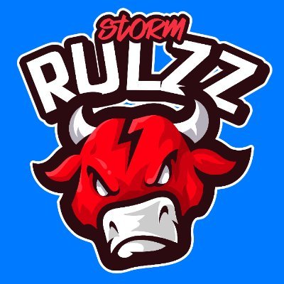 StormRulzz Profile Picture