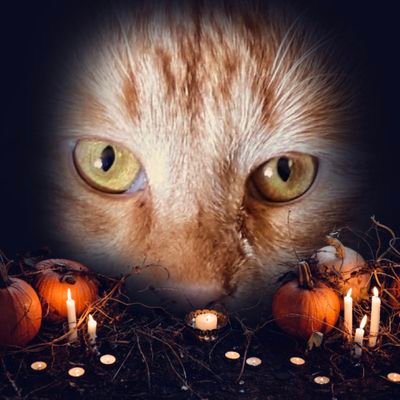 DawnyM67's profile picture. 