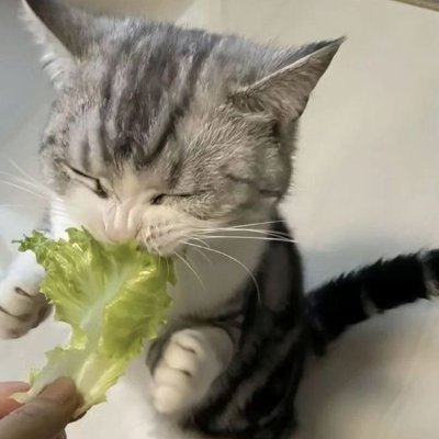 tangerinebasket's profile picture. grok is this true