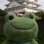 ひほひほ(🌍🥦︎) (@picklesclock) 's Twitter Profile