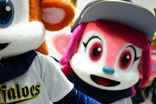⚽🌸SB.DF好き/マルは特別⚾Bs宗佑磨/マモさんは特別/Fサチトラ/🐾猫大好き/ #Bs2025 /#セレッソ大阪